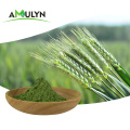 Green Wheat Barley Grass juice extract powder